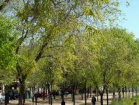 El Ayuntamiento acondiciona la cascada y zona forestal del Parque del Manzanares