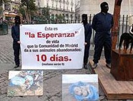 Voluntarios de CIAAM niegan el sacrificio masivo de animales