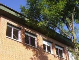 Reformas en 'coles' de Pozuelo de Alarcón