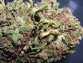 La acción de los cannabinoides frente a procesos tumorales