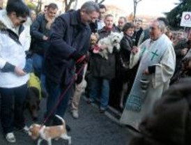 Los dueños de mascotas cumplen con la tradición del Día de San Antón