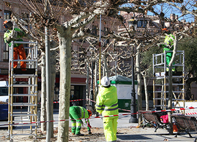 Las Rozas recoge 3.000 toneladas de restos en la campaña de poda