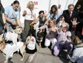 Salón para la adopción de animales de compañía
