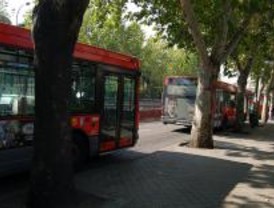 Las líneas 4, 8 y 19 de la EMT modifican su itineraio a partir de este sádabo