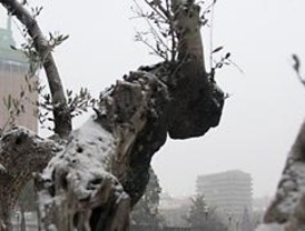 La nieve cubre la región y complica la circulación