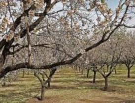El parque de la Quinta del Molino acogerá el certamen nacional de pintura rápida