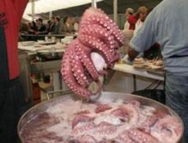 75.000 kilos de marisco en la I Feria Gastronómica Gallega de Brunete