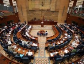 La Asamblea aprueba con retraso una declaración por el Día de la Mujer