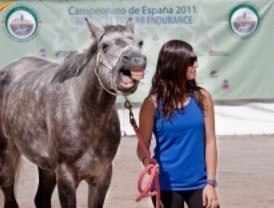 'Raid El Paular', competición ecuestre en Guadarrama