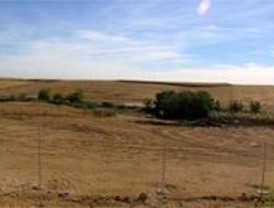 Madrid convierte mil hectáreas de territorios degradados en zonas verdes