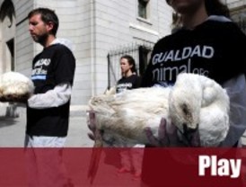 Igualdad Animal protesta frente a Agricultura por el 'foie gras' 'made in Spain'