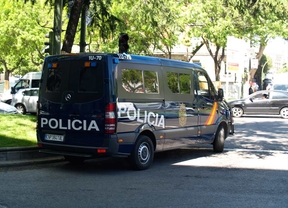 Dos detenidos por al menos 32 hurtos