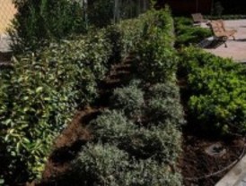 Desempleados de La Elipa aprenden jardinería