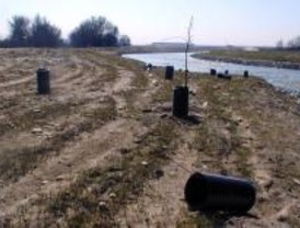 Paracuellos acusa a AENA de no cumplir la declaración de impacto medioambiental