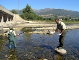 Multas de menos de 15 euros para pescadores