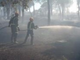 Un incendio afecta a cinco hectáreas de la Dehesa de Majadahonda