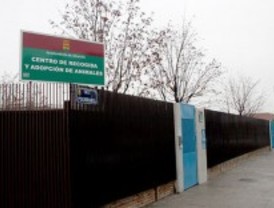 Comienza la campaña de vacunación de mascotas en Alcorcón