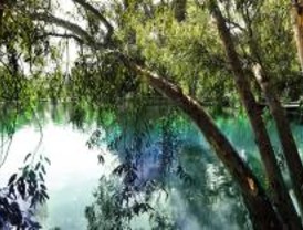 La Comunidad propone una batería de propuestas de medio ambiente para este puente