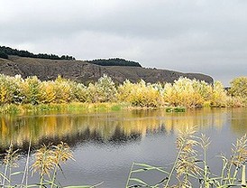 Un soto entre el Manzanares y el Jarama