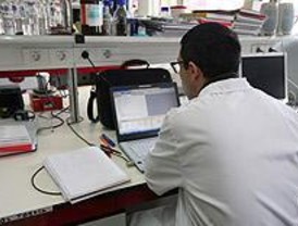 Los primeros pasos de la investigación