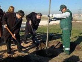 Vallecas renovará algunos de sus espacios verdes