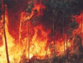 Prohibido hacer fuego en el monte hasta el 15 de octubre