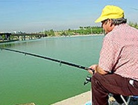 Más de 160 denuncias por actividad piscícola ilegal en Madrid en 2009