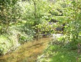 Cuarenta abogados se unen por la defensa del medio ambiente
