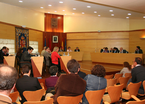 Pleno de Las Rozas