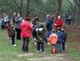 Temen por los árboles plantados en la Dehesa de la Villa