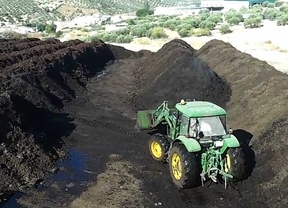 El alperujo compostado contribuye a recuperar los suelos de mina