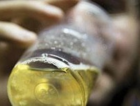 Los jóvenes de Las Rozas dan poca importancia al alcohol