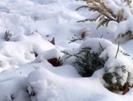 Alerta por aludes en la sierra