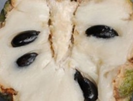Un gen determina la presencia de pepitas en la fruta
