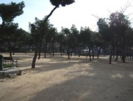Los pinos se defienden del fuego