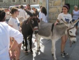 Una 'Caravana de burros' recorre la Sierra Norte