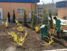 Madrid tiene diez centros de reeducación de menores