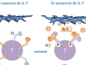 Nueva mutación que afecta casos de un tipo de leucemia