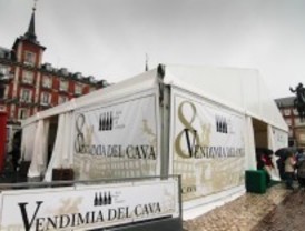 La Vendimia del Cava invita a los madrileños a tomar un aperitivo con cava en la Plaza Mayor