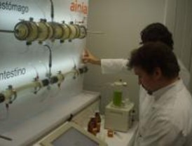 Un digestor artificial simula el aparato humano