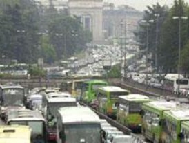 La caída de dos árboles causa retenciones kilométricas en el centro a primera hora