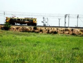 'Testing' fotográfico de dos plantas en peligro