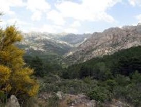 El PSOE critica el retarso en la publicación del PORN de Guadarrama