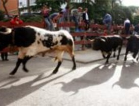 Comienzan las fiestas patronales de Las Rozas