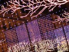 Los madrileños organizan su agenda de ocio en Navidad