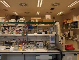 La fragmentación el ADN del espermatozoide influye en la fertilidad del varón