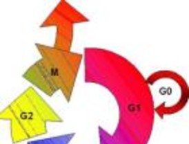 Evolución genética de los tumores por su dinámica de crecimiento