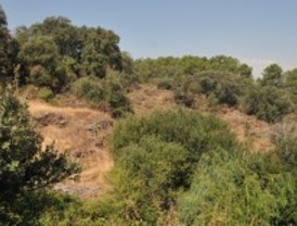 Aprobado el anteproyecto de la Ley de Viviendas Rurales Sostenibles