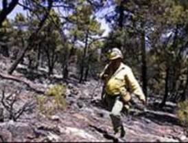 Los forestales investigan la muerte de miles de peces en el Parque del Sureste