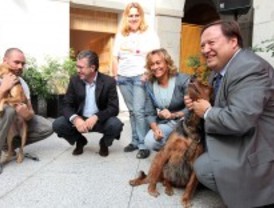 Los jóvenes infractores cuidarán de perros abandonados